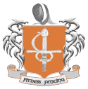 Fitness Fencing