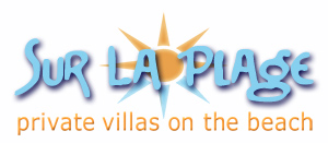 EM Web designed logo